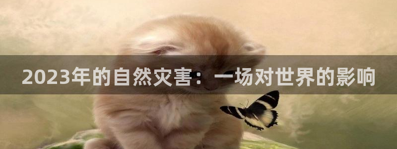 pg电子是什么平台