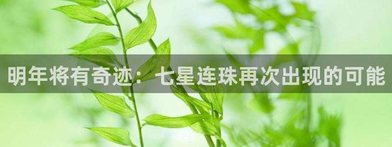 pg怎么玩赏金女王