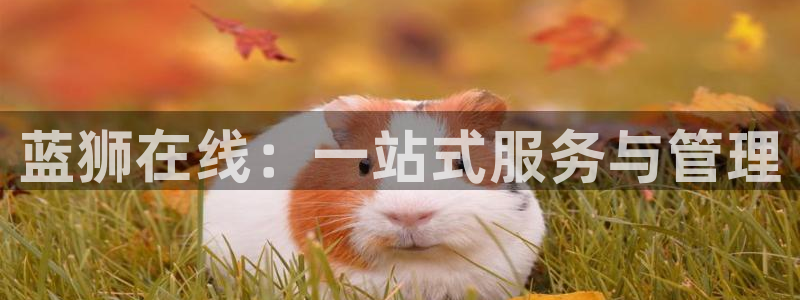 pg电子地址