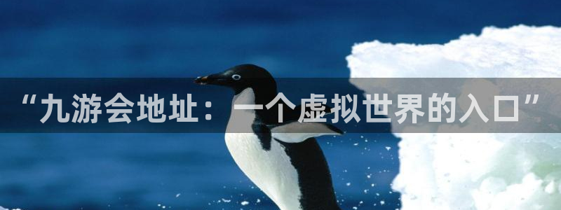 pg赏金船长官网