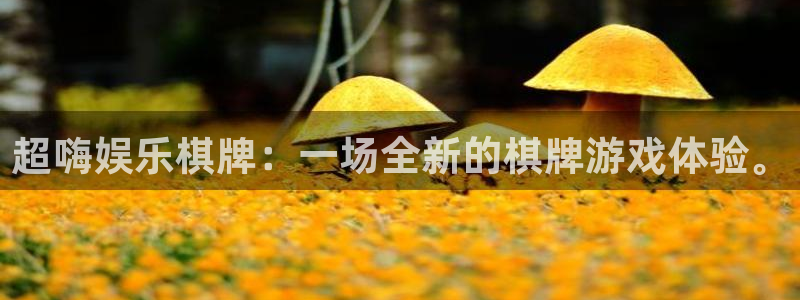 pg电子赏金船长九个船长