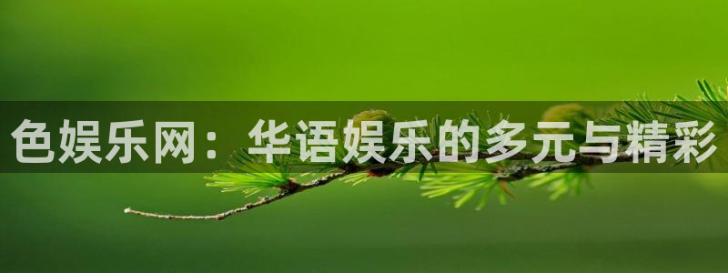 pg麻将胡了怎么爆高分