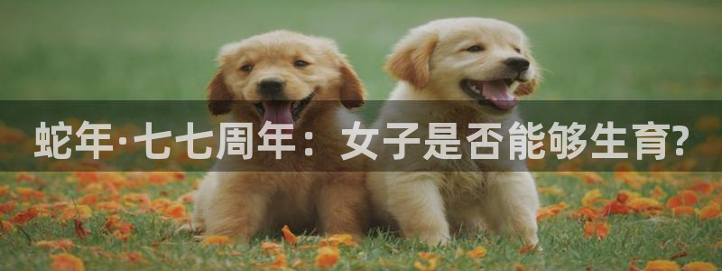 pg官网