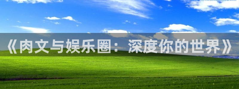 pg游戏模拟器软件