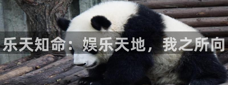 pg游戏app下载