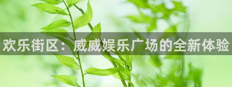 pg游戏软件平台