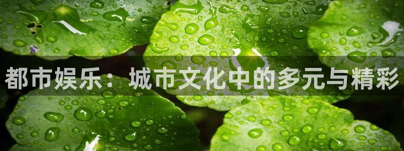 pg电子游戏网站入口