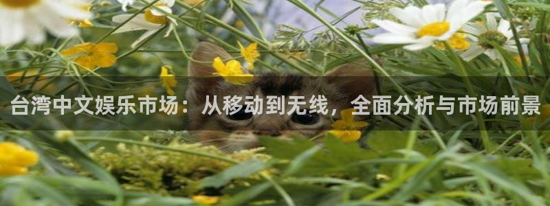 试玩pg电子
