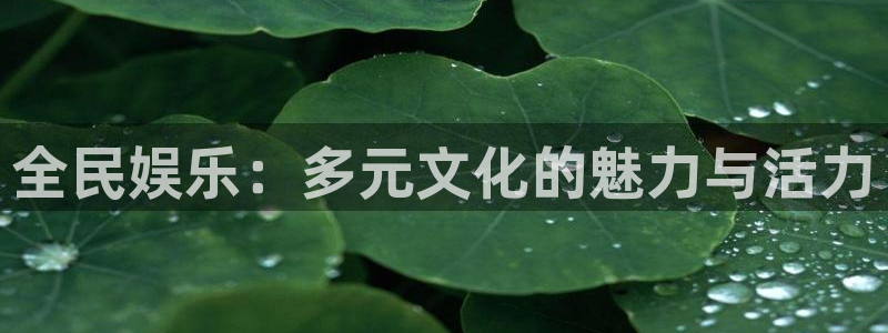 pg电子辅助：全民娱乐：多元文化的魅力与活力