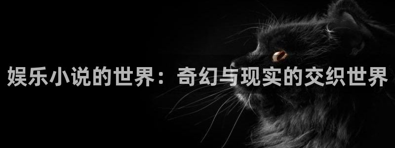 pg电子链接：娱乐小说的世界：奇幻与现实的交织世界