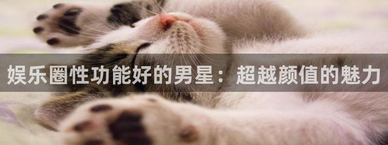 pg电子游戏官网：娱乐圈性功能好的男星：超越颜值的魅力