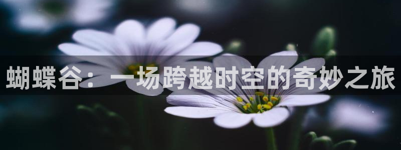 pg电子有哪些平台：蝴蝶谷：一场跨越时空的奇妙之旅