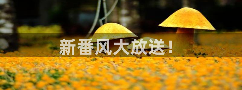 pg游戏app：新番风大放送！