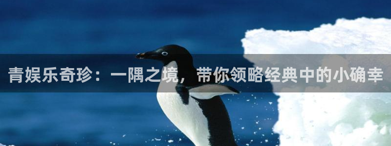 pg电子官网官方网站：青娱乐奇珍：一隅之境，带你领略经典中的小确幸