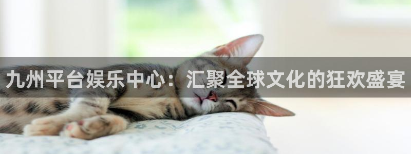 pg电子模拟器入口：九州平台娱乐中心：汇聚全球文化的狂欢盛宴