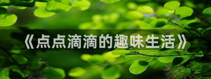 pg摸模拟器：《点点滴滴的趣味生活》