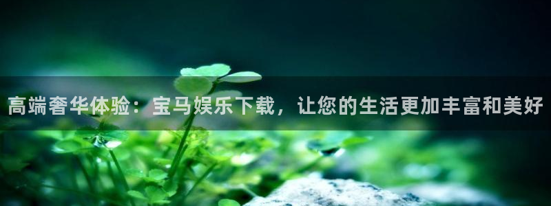 pg电子免费模拟器：高端奢华体验：宝马娱乐下载，让您的生活更加丰富和美好