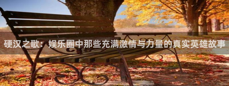 pg电子官网版：硬汉之歌：娱乐圈中那些充满激情与力量的真实英雄故事