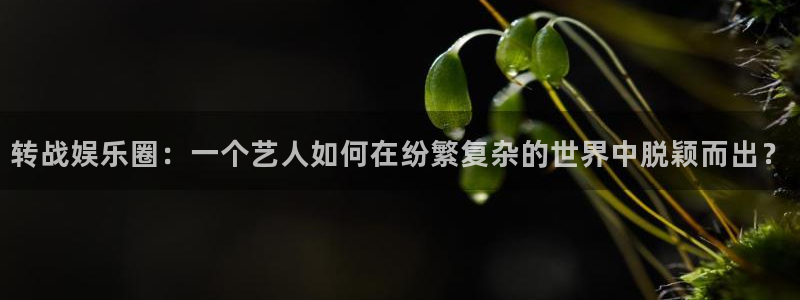 pg电子娱乐官网入口：转战娱乐圈：一个艺人如何在纷繁复杂的世界中脱颖而出？